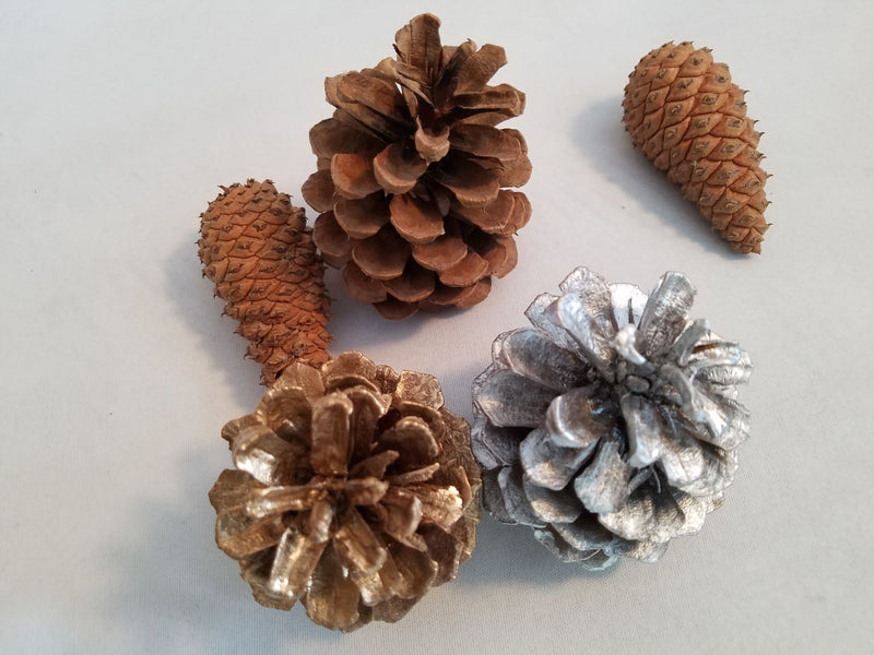 Pine Cones, all natural, organic, clean, untreated, ave. size 3-5"